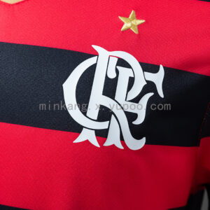Camiseta Flamengo 2009/10 Retro Local — detalle cuello en V