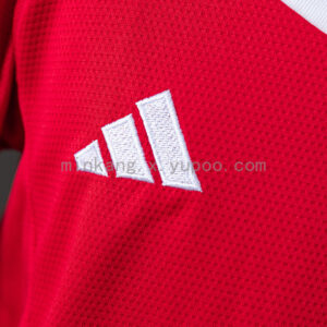 Camiseta Sport Club Internacional 2024/25 Local Niño — detalle