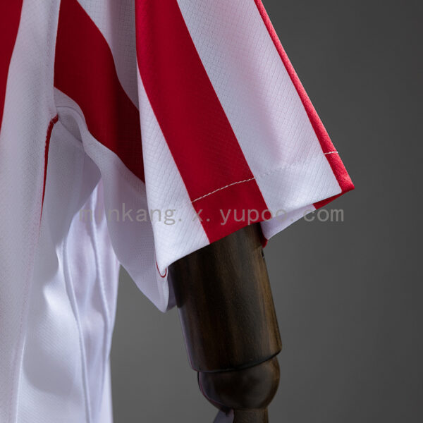 Camiseta Atletico Madrid 2024/25 Local — detalle cuello