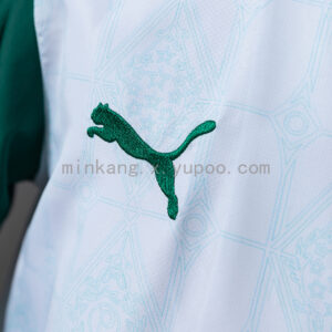 Camiseta Palmeiras 2023/24 Entrenamiento Cortaviento — detalle