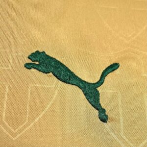Camiseta Palmeiras 2023/24 Tercera — detalle