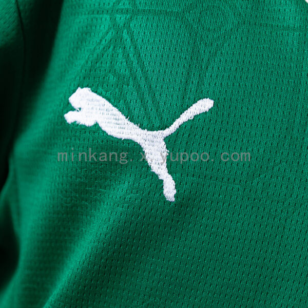 Camiseta Palmeiras 2023 Local Niño — detalle cuello