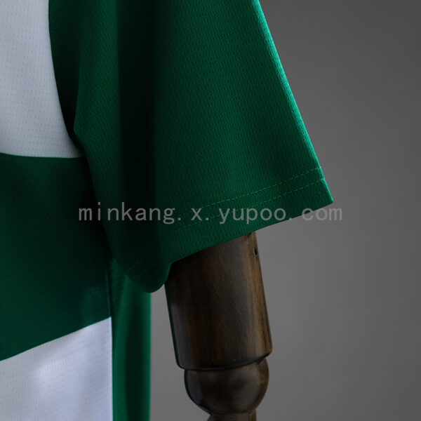Camiseta Palmeiras 2024 Edición Especial — detalle logo Puma