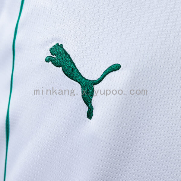Camiseta Palmeiras 2024/25 Visita — detalle logo Puma