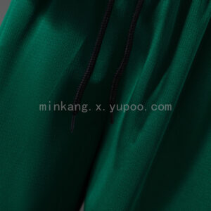 Camiseta Palmeiras 2024/25 Visita — detalle