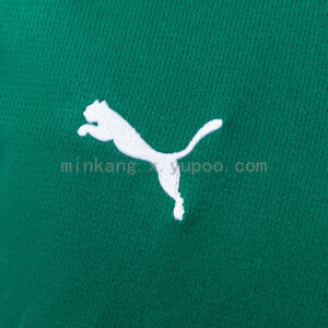 Camiseta Palmeiras 2024/25 Local — vista lateral
