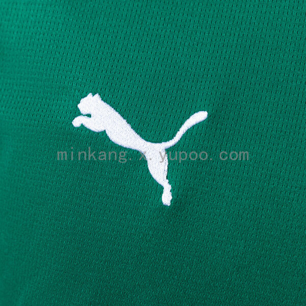 Camiseta Palmeiras 2024/25 Local — vista lateral