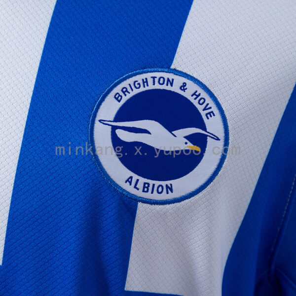 Camiseta Brighton & Hove Albion 2024 Local - detalle de las franjas azules y blancas