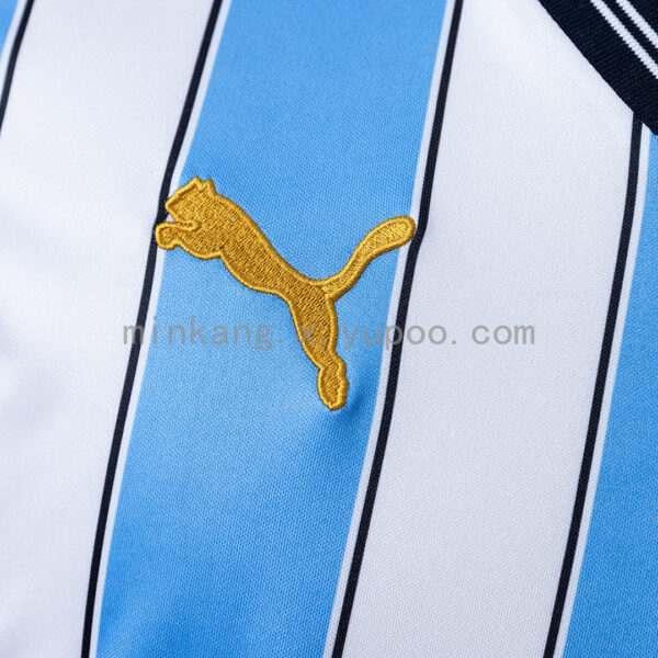 Camiseta Coventry City 2019/20 Aniversario Local - detalle tejido