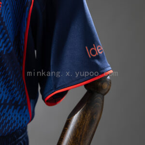 Camiseta Nottingham Forest 2023/24 Tercera - detalle