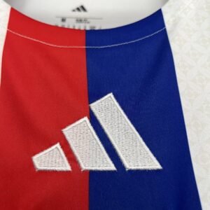Camiseta Lyon 2024/25 Local - detalle manga