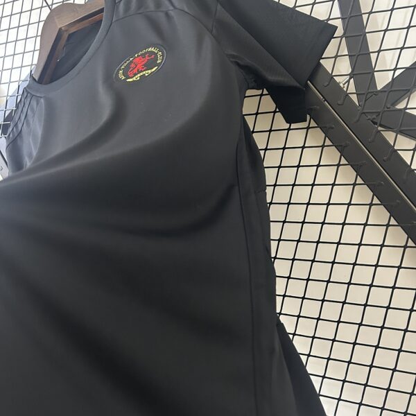 Camiseta Aston Villa 2023/24 Aniversario - detalle cuello