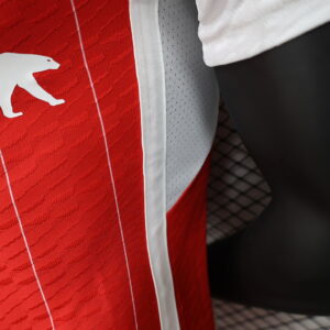 Camiseta Colo Colo 2023 Tercera - detalle