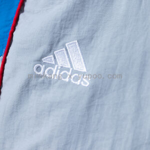 Camiseta Bayern Munich 2023/24 Cortaviento - detalle