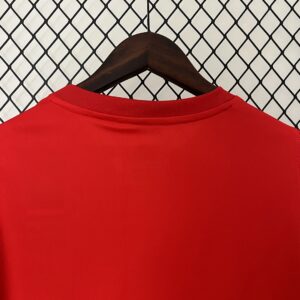 Camiseta Internacional 2024/25 Entrenamiento — detalle