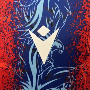 Camiseta Crystal Palace 2023 Local - detalle