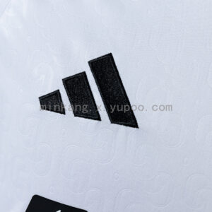 Camiseta Colo Colo 2024 Local Manga Larga - detalle de la manga