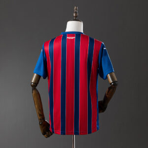 Camiseta Esporte Clube Bahia 2024 Visita — detalle