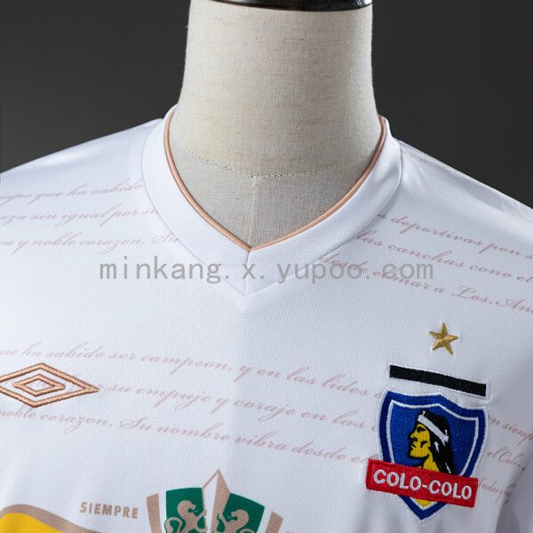 Camiseta Colo Colo 2011 Retro Local - detalle del escudo y estrella