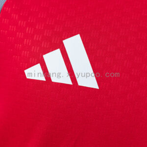 Camiseta Internacional 2024/25 Entrenamiento — detalle cuello