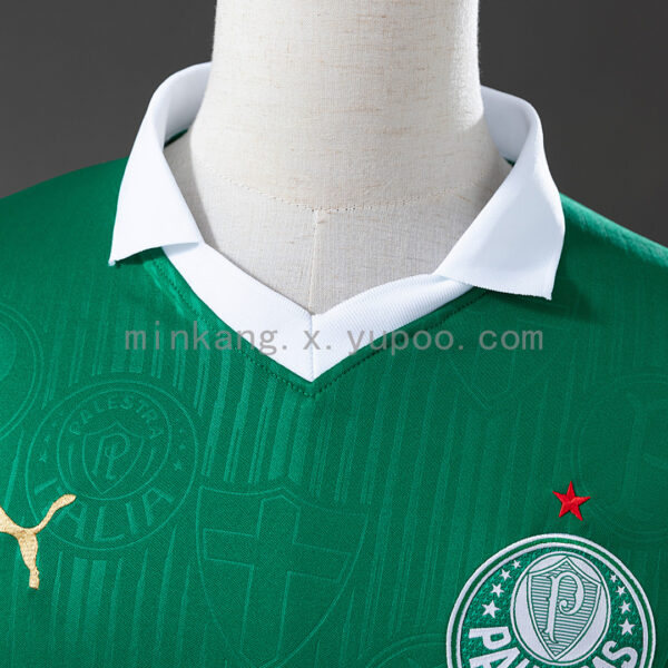 Camiseta Palmeiras 2024 Local — detalle manga