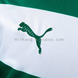 Camiseta Palmeiras 2024 Edición Especial — detalle estrella roja