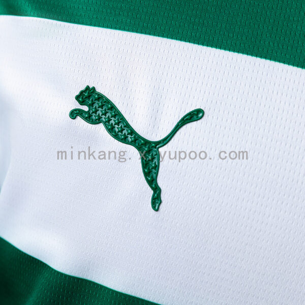 Camiseta Palmeiras 2024 Edición Especial — detalle estrella roja