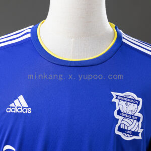 Camiseta Birmingham City 2019/20 Local - detalle