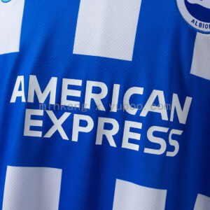 Camiseta Brighton & Hove Albion 2024 Local - vista trasera del diseño