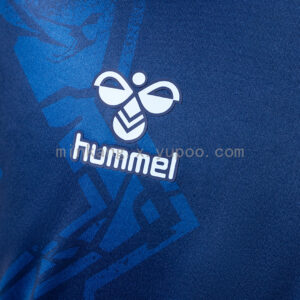 Camiseta Coventry City 2023/24 Tercera - detalle