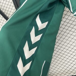 Camiseta Werder Bremen 2023/24 Local - detalle