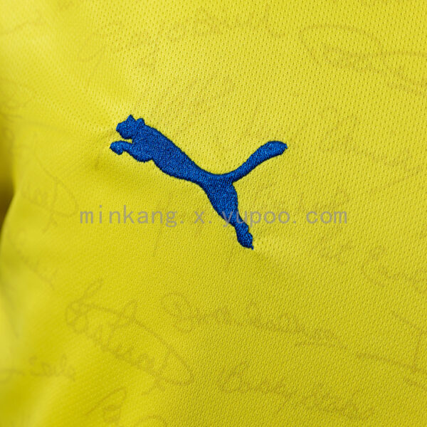 Camiseta Southampton 2022/23 Tercera Aniversario - detalle tejido