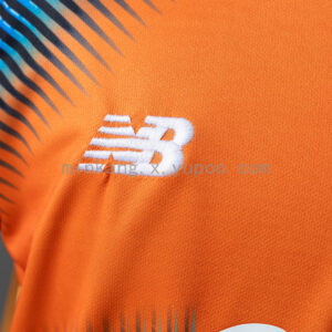 Camiseta Atalanta 2023/24 Tercera - detalle