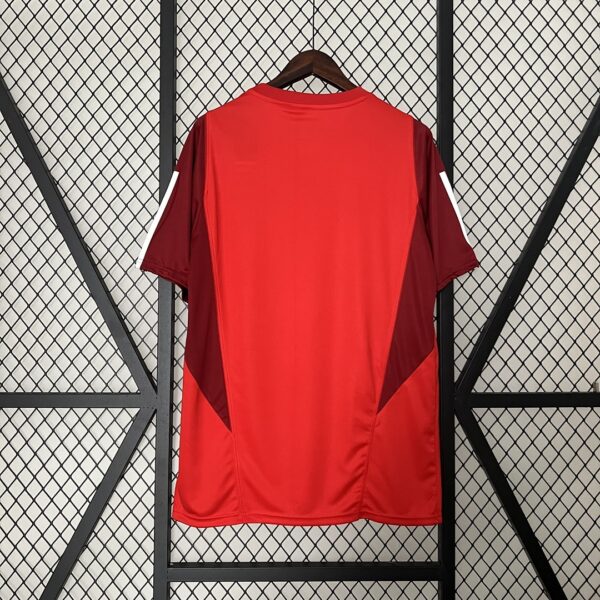 Camiseta Internacional 2024/25 Entrenamiento — detalle