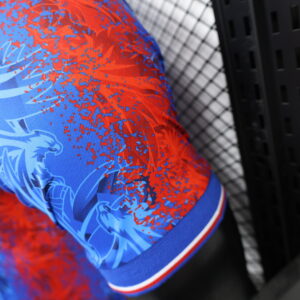 Camiseta Crystal Palace 2023/24 Local - detalle