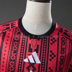 Camiseta Colo Colo 2024/25 Pre-Partido Local - detalle escudo