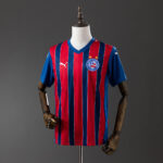 Camiseta Esporte Clube Bahia 2024 Visita — vista frontal