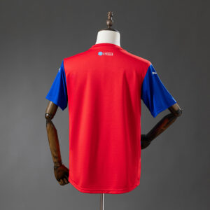 Camiseta Esporte Clube Bahia 2018 Local Superman — detalle tejido