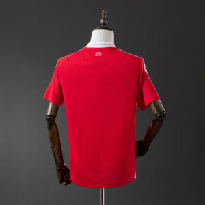 Camiseta Internacional 2024/25 Local — detalle