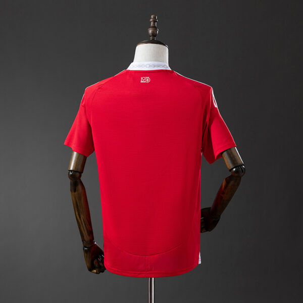Camiseta Internacional 2024/25 Local — detalle