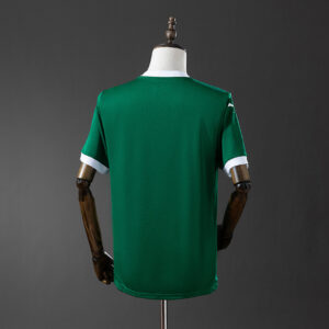 Camiseta Palmeiras 2023/24 Local — detalle
