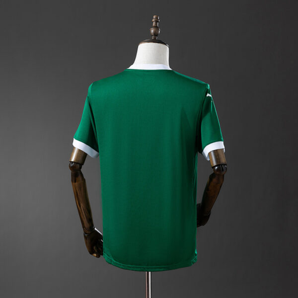 Camiseta Palmeiras 2023/24 Local — detalle