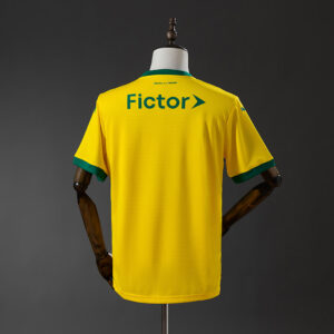 Camiseta Palmeiras 2024/25 Tercera — detalle textura de la tela
