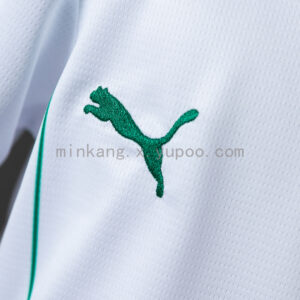 Camiseta Palmeiras 2024/25 Visita — detalle