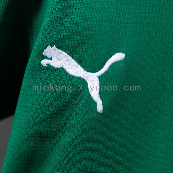 Camiseta Palmeiras 2024/25 Local — detalle franja lateral roja