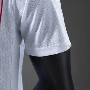 Camiseta Palmeiras 2023/24 Local — detalle hombro