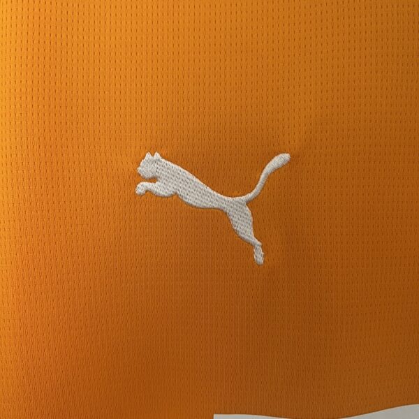 Camiseta Valencia CF 2024/25 Tercera — detalle