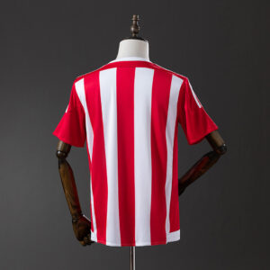 Camiseta Southampton 2015/16 Retro Local - detalle