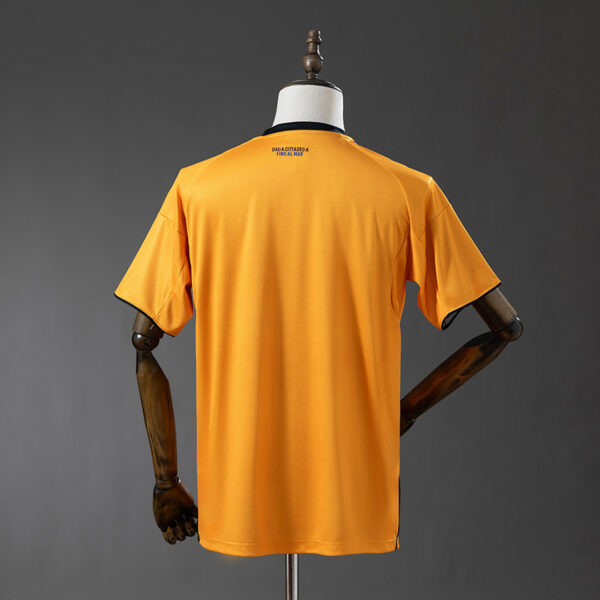 Camiseta Pisa 2024/25 Visita - vista lateral