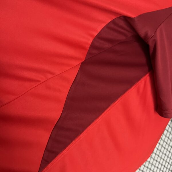 Camiseta Internacional 2024/25 Entrenamiento — detalle